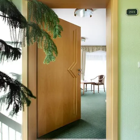Hotel Rittersgruen 4*