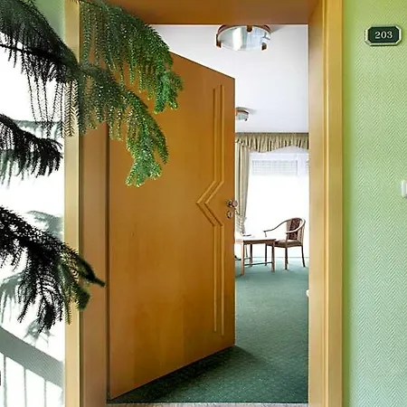 Rittersgruen Hotel