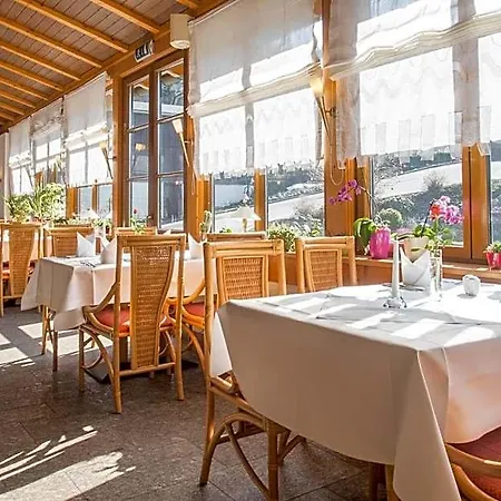 Hotel Rittersgrün Breitenbrunn (Saxony)