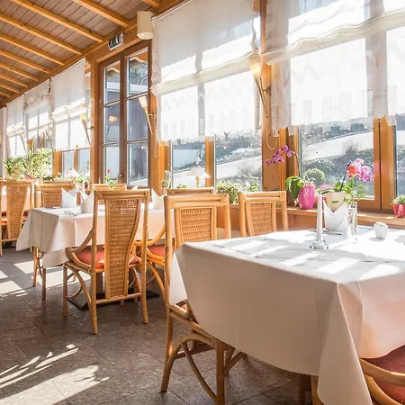Rittersgrün Hotel Breitenbrunn (Saxony)