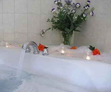 Rittersgrün Hotel Breitenbrunn (Saxony)