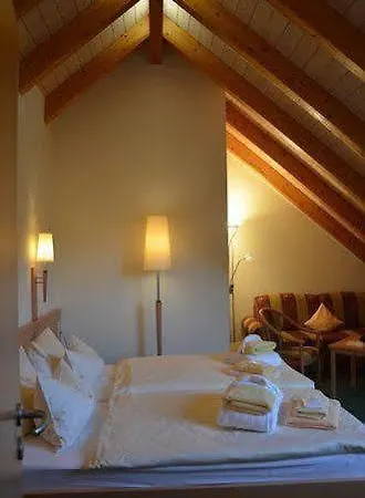 Hotel Rittersgruen 4*