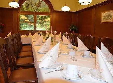 Rittersgruen Hotel Breitenbrunn (Saxony)