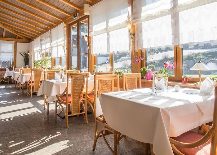 Rittersgrün Hotel Breitenbrunn (Saxony)